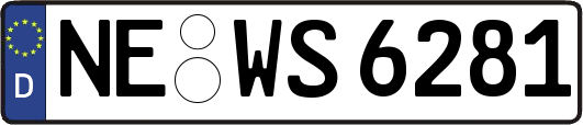 NE-WS6281