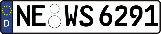 NE-WS6291