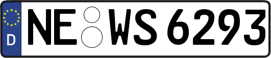 NE-WS6293