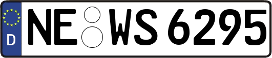 NE-WS6295
