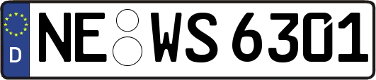 NE-WS6301