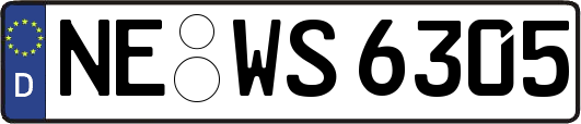NE-WS6305