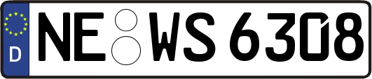 NE-WS6308