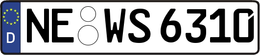 NE-WS6310