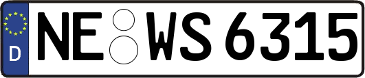 NE-WS6315