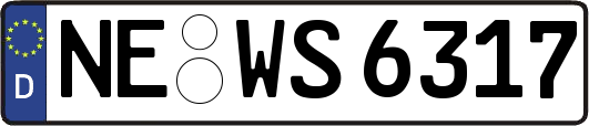 NE-WS6317