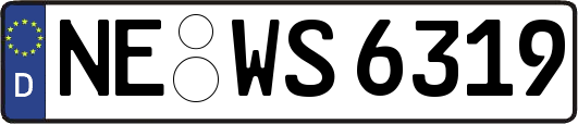 NE-WS6319
