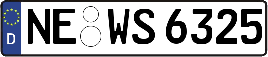 NE-WS6325