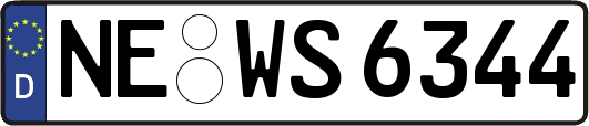 NE-WS6344