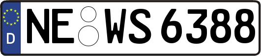 NE-WS6388