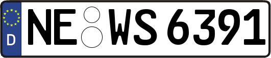 NE-WS6391