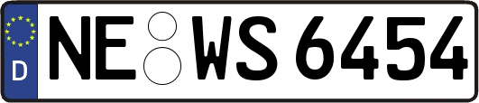 NE-WS6454