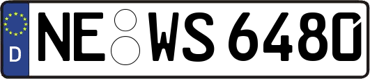 NE-WS6480