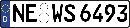 NE-WS6493