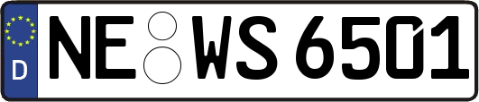 NE-WS6501