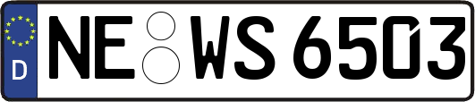 NE-WS6503