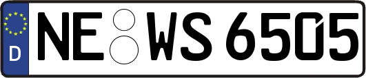 NE-WS6505