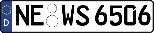 NE-WS6506