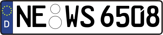 NE-WS6508