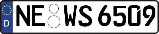 NE-WS6509