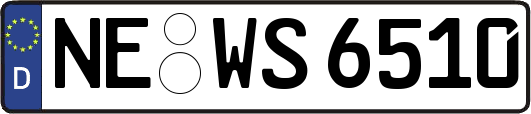 NE-WS6510