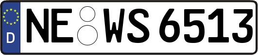 NE-WS6513