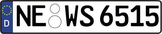 NE-WS6515