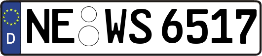 NE-WS6517