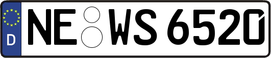 NE-WS6520