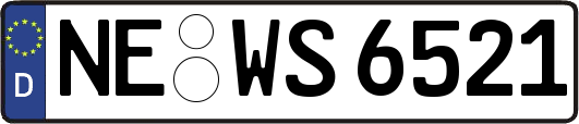 NE-WS6521