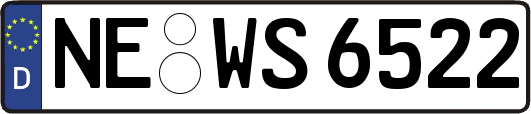 NE-WS6522