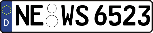 NE-WS6523