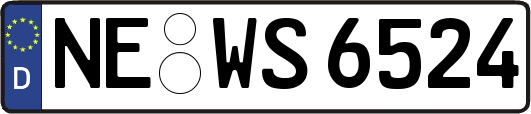 NE-WS6524