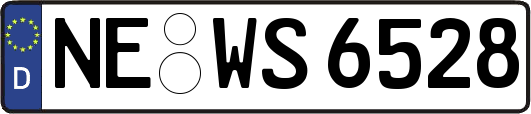 NE-WS6528