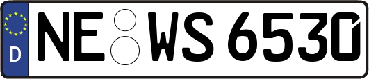 NE-WS6530