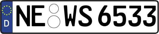NE-WS6533