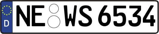 NE-WS6534