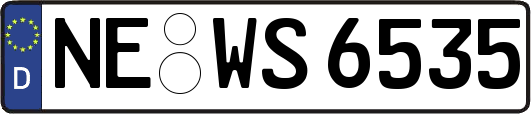 NE-WS6535