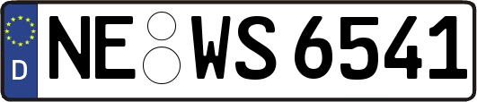 NE-WS6541