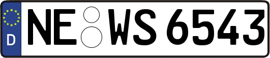 NE-WS6543