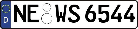 NE-WS6544