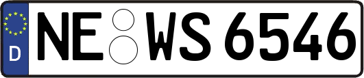 NE-WS6546