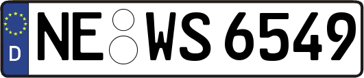 NE-WS6549