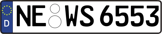 NE-WS6553