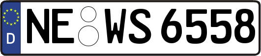 NE-WS6558