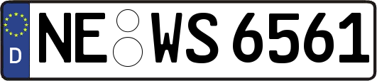 NE-WS6561