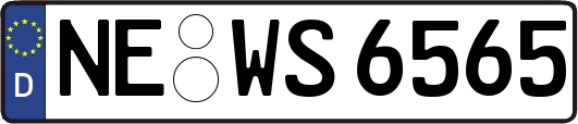NE-WS6565
