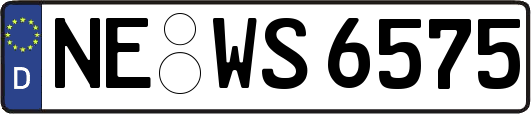 NE-WS6575