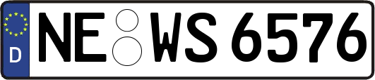 NE-WS6576