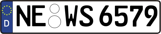 NE-WS6579